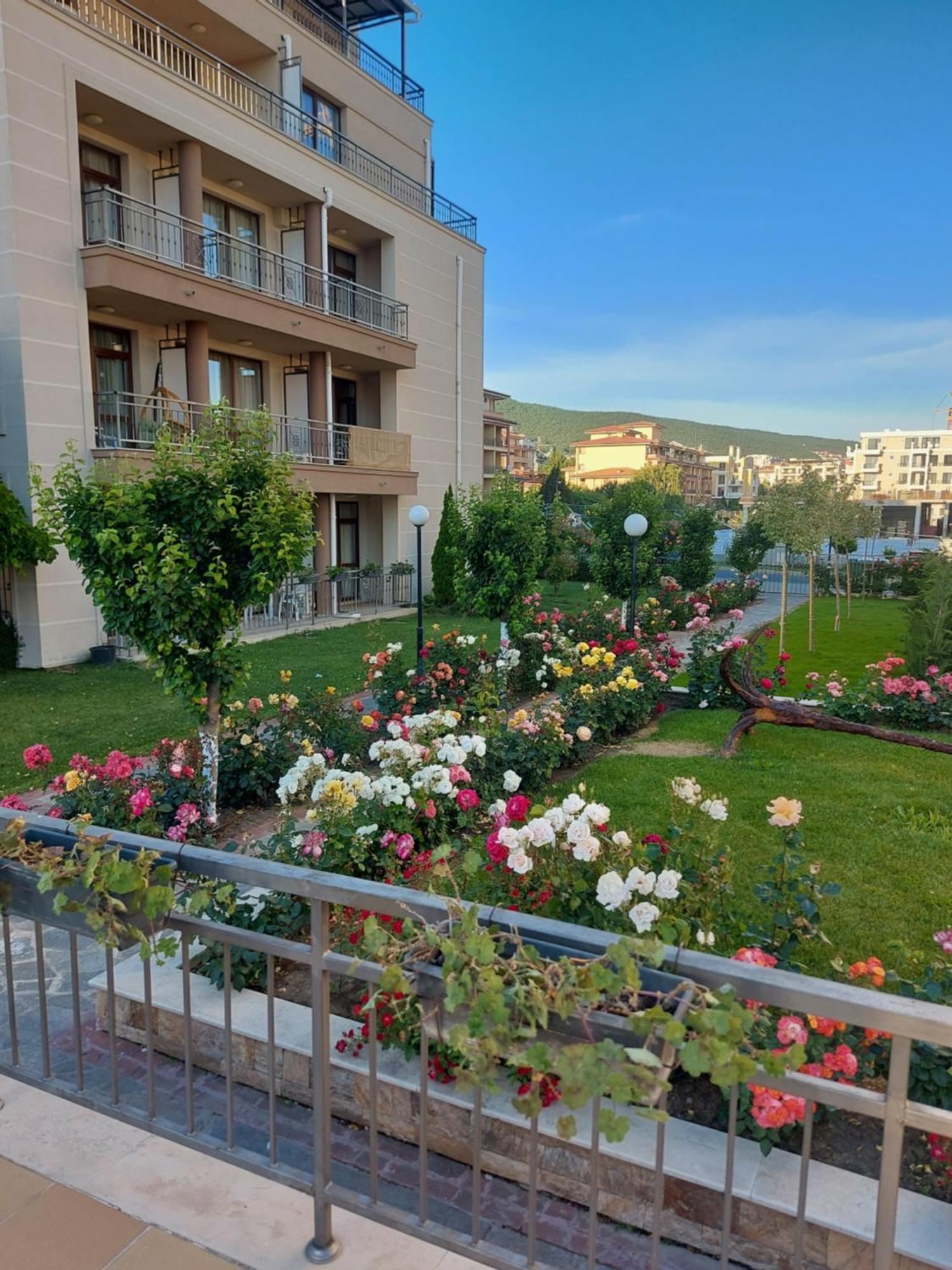 Charming Studio In Sorrento Sole Mare Свети Влас Екстериор снимка
